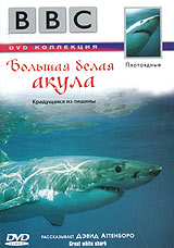 BBC Great White Shark 1999 movie.jpg