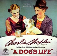 A Dogs Life 1918 movie.jpg
