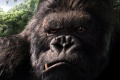 King Kong 2005 movie screen 1.jpg