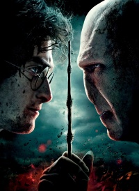 Harry Potter and the Deathly Hallows Part 2 2011 movie.jpg