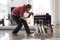 Mr Poppers Penguins 2011 movie screen 4.jpg