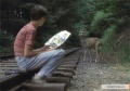 Stand by Me 1986 movie screen 4.jpg