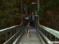 Far from Home The Adventures of Yellow Dog 1995 movie screen 1.jpg