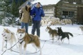 Snow Dogs 2002 movie screen 2.jpg