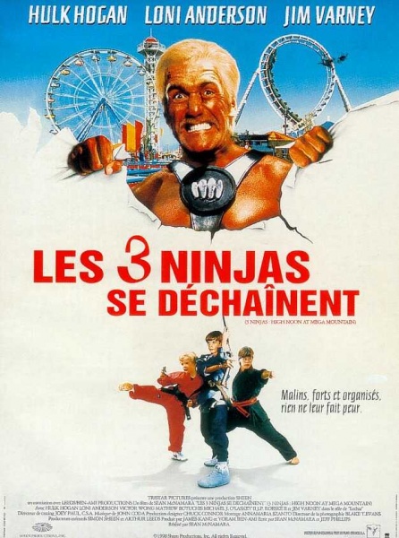 Файл:3 Ninjas High Noon at Mega Mountain 1998 movie.jpg