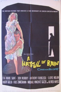 A Hatful of Rain 1957 movie.jpg