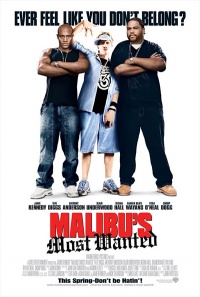 Malibus Most Wanted 2003 movie.jpg