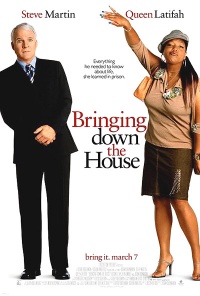 Bringing Down the House 2003 movie.jpg