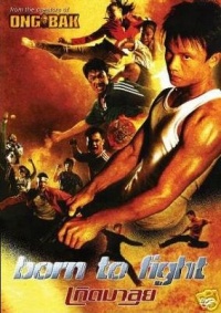Born to Fight 2004 movie.jpg