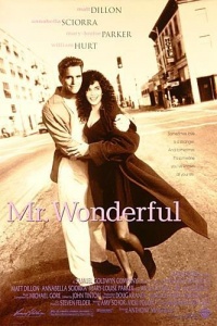 Mr Wonderful 1993 movie.jpg