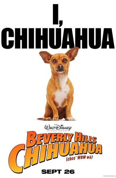 Файл:Beverly Hills Chihuahua 2008 movie.jpg