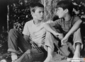 Stand by Me 1986 movie screen 2.jpg
