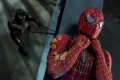 SpiderMan 3 2007 movie screen 2.jpg
