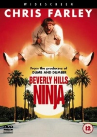 Beverly Hills Ninja 1997 movie.jpg
