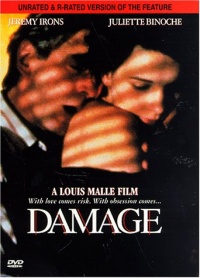 Damage 1992 movie.jpg