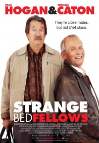 Strange Bedfellows 2004 movie.jpg