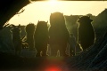 Where the Wild Things Are 2009 movie screen 1.jpg